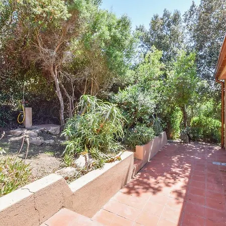 In Trinita Dagultu Vignol With Kitchen Holiday home Li Valcaggi